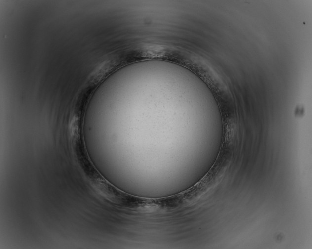 X0000102850598200809021403