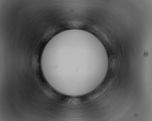 X0000102850599200809021403