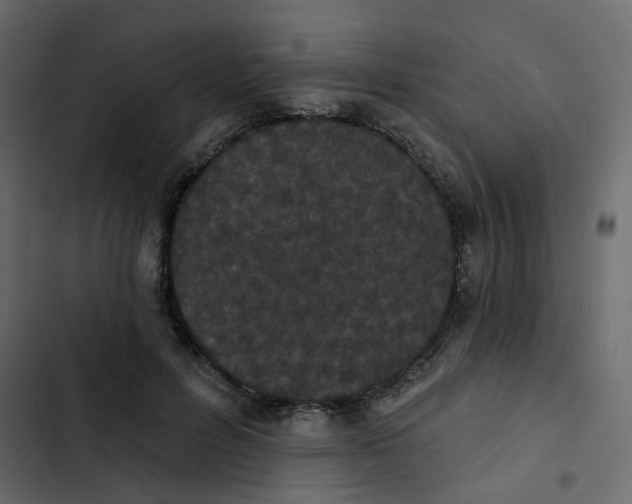 X0000102850600200809021403