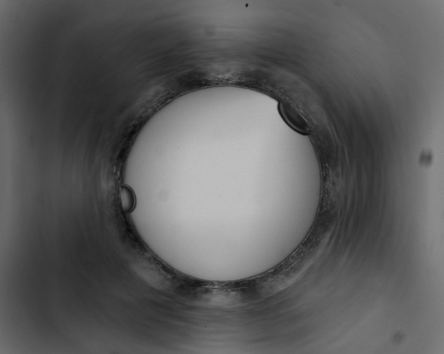 X0000102850601200809021403