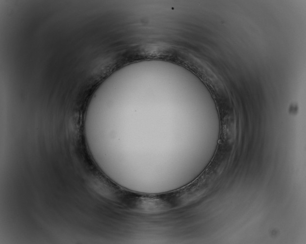 X0000102850605200809021403