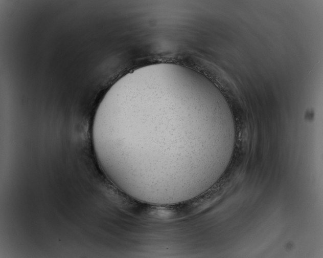 X0000102850610200809021402