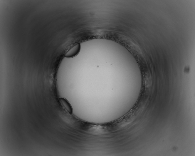 X0000102850611200809021402