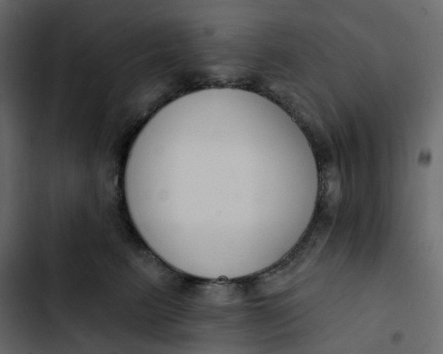 X0000102850615200809021402