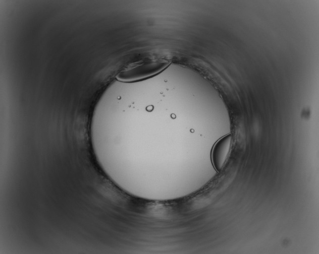 X0000102850616200809021402