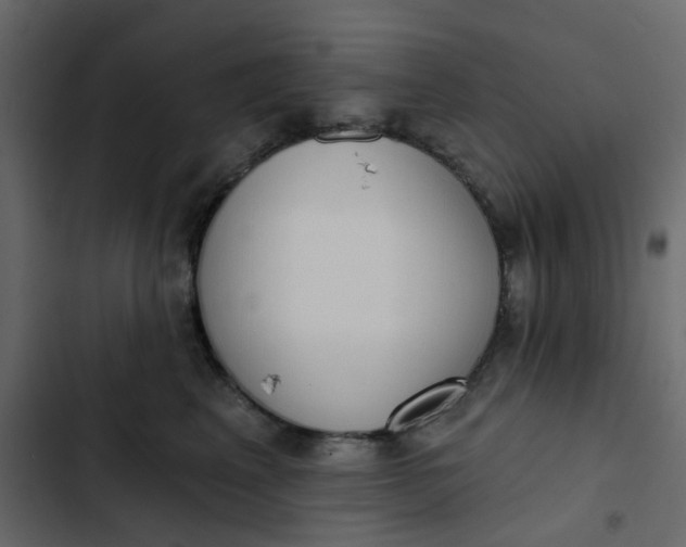 X0000102850617200809021402