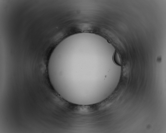 X0000102850618200809021402