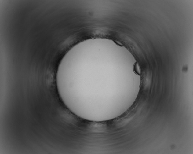 X0000102850619200809021402