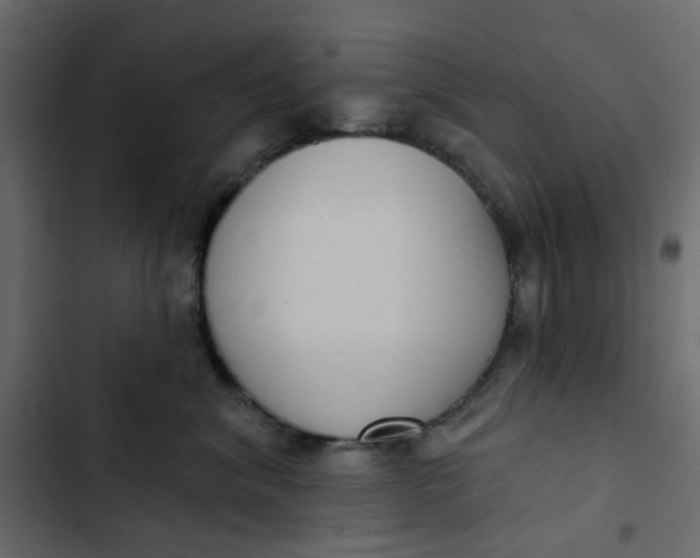 X0000102850620200809021402