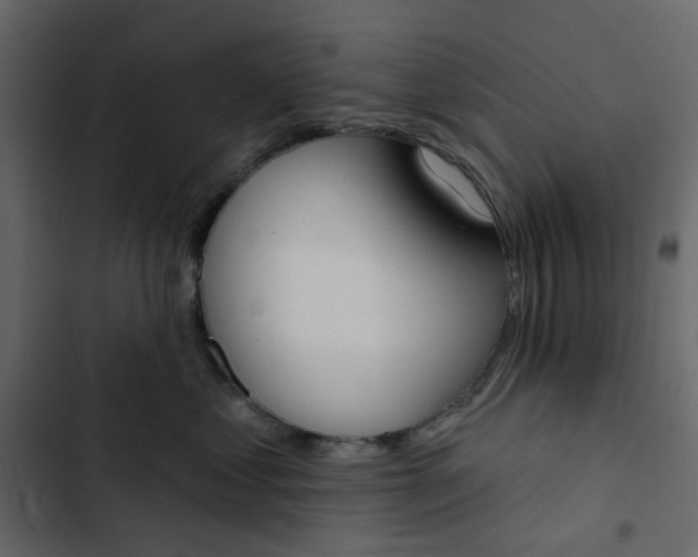 X0000102850621200809021402