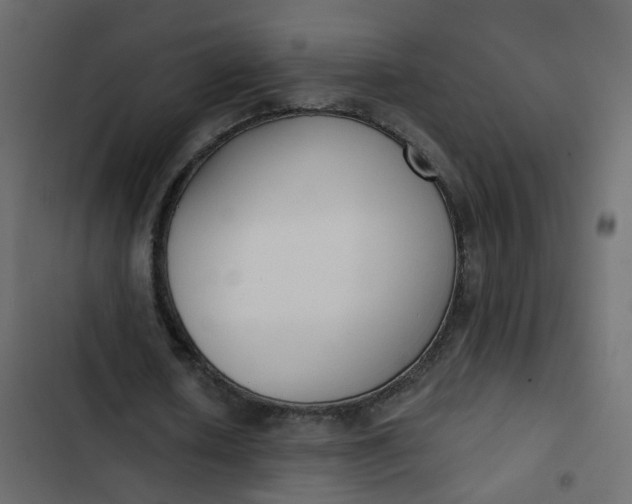 X0000102850626200809021401