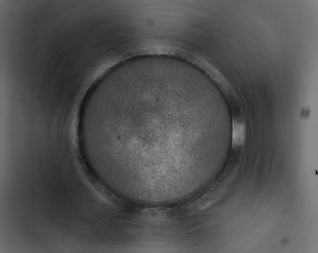 X0000102850627200809021401