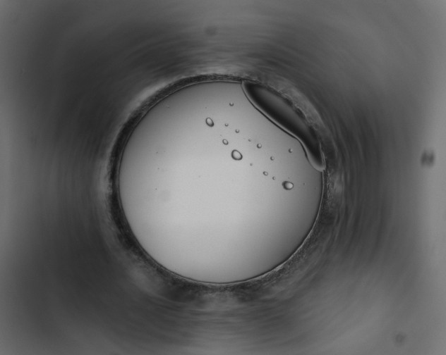 X0000102850628200809021401