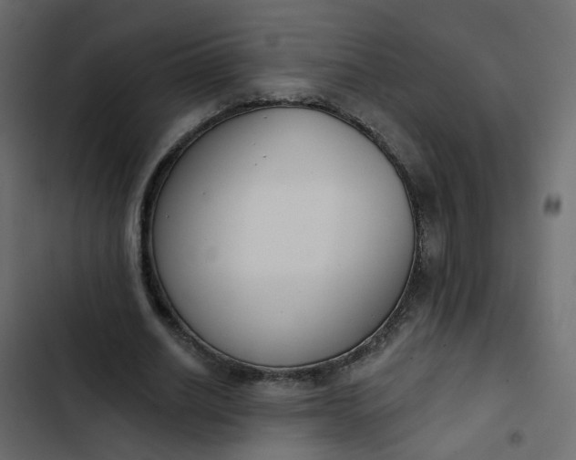 X0000102850630200809021401