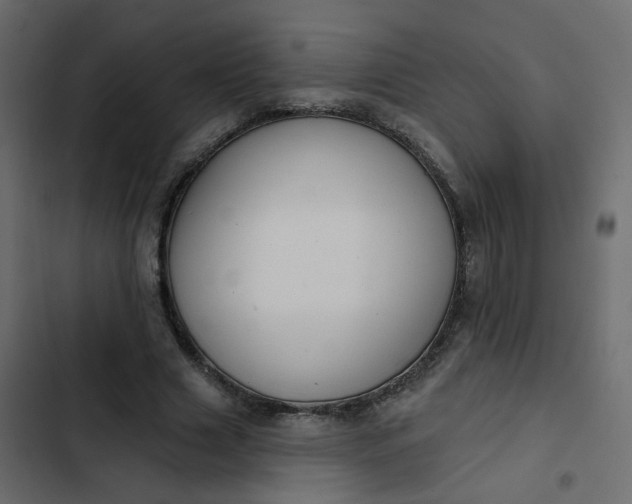 X0000102850633200809021401