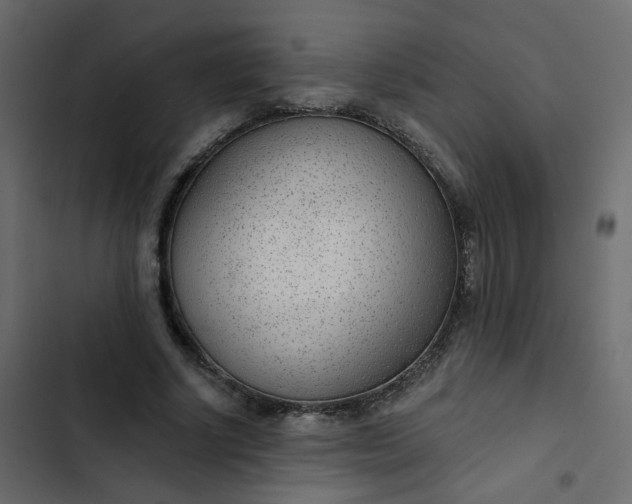 X0000102850634200809021401