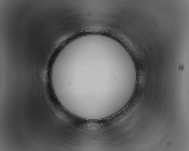 X0000102850636200809021402