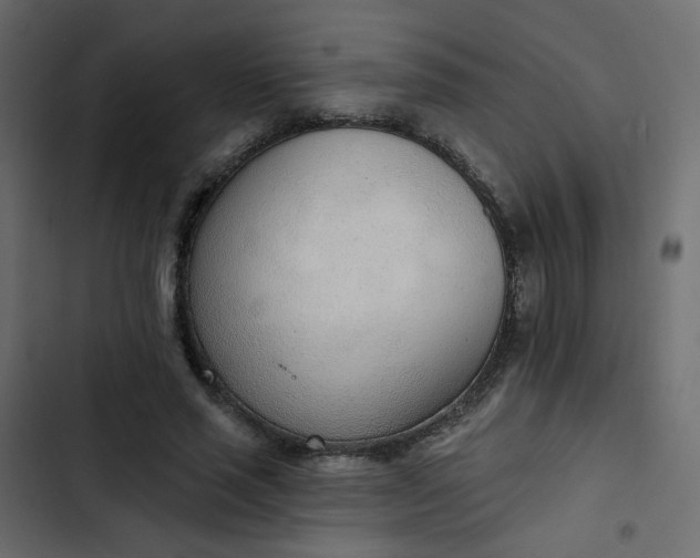 X0000102850637200809021402