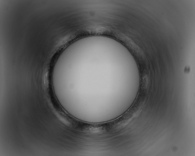 X0000102850638200809021402