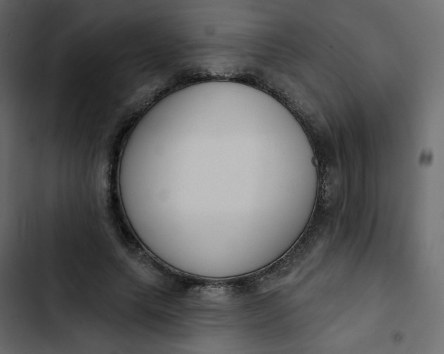 X0000102850639200809021402