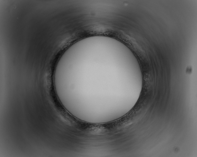 X0000102850642200809021402