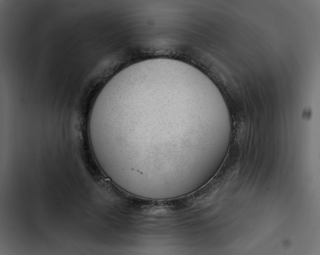 X0000102850643200809021402