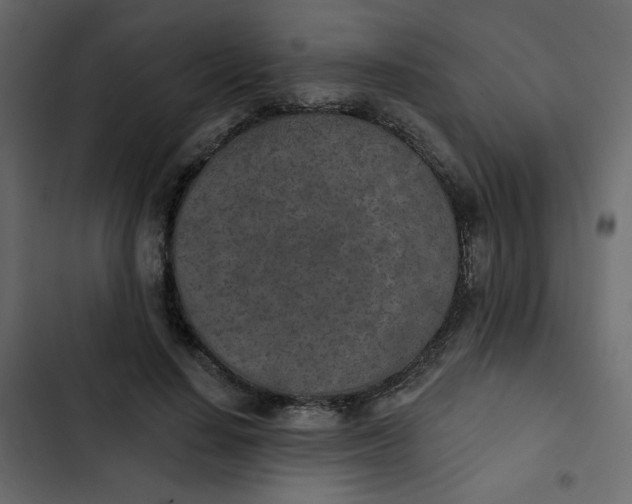 X0000102850644200809021402