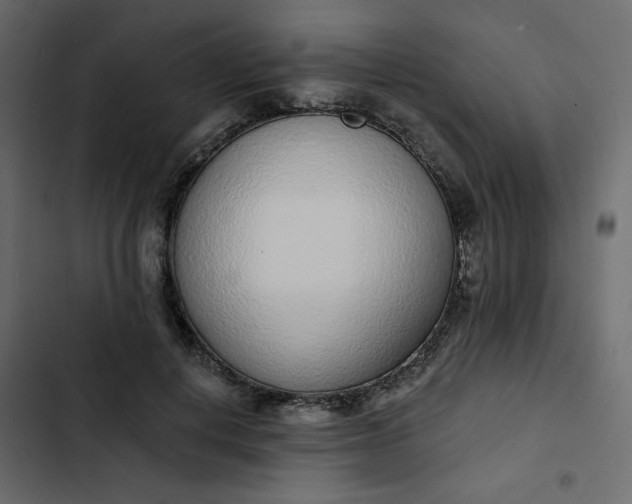 X0000102850648200809021402