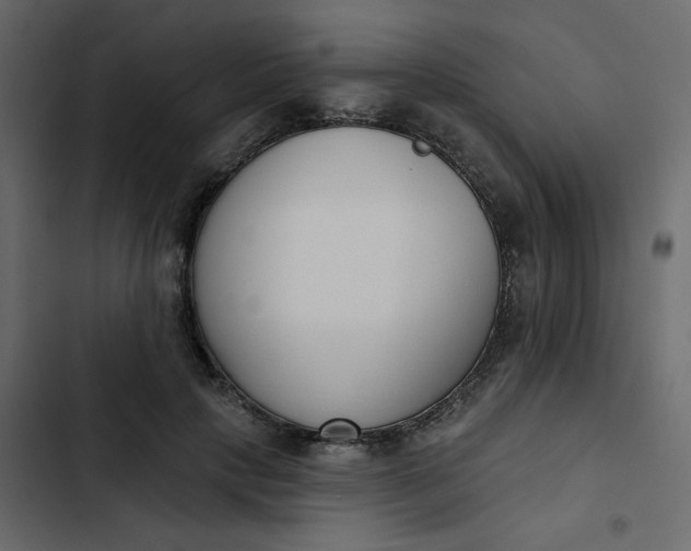 X0000102850649200809021402