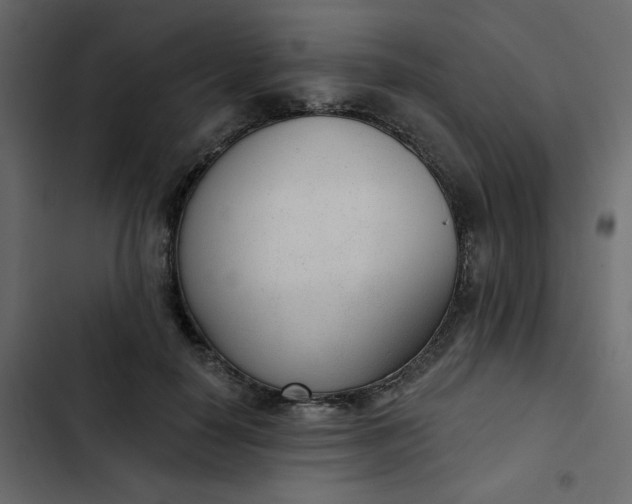 X0000102850650200809021402