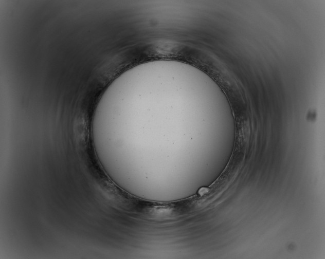 X0000102850651200809021402