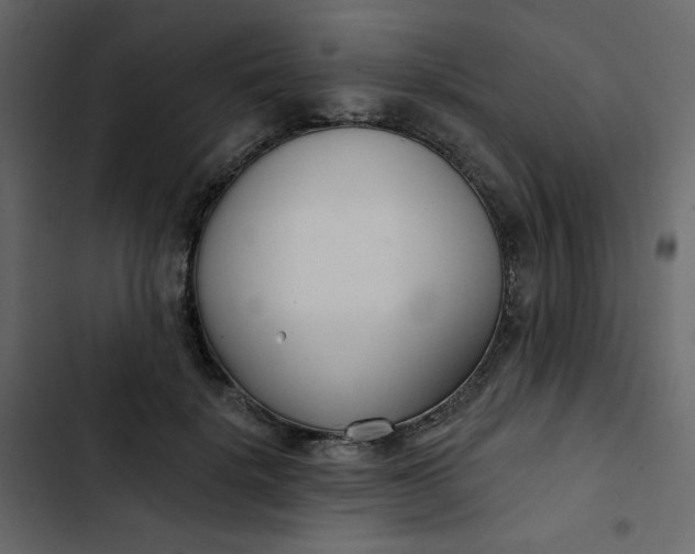 X0000102850652200809021402