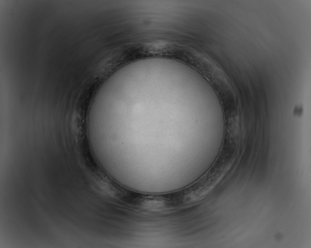 X0000102850653200809021402