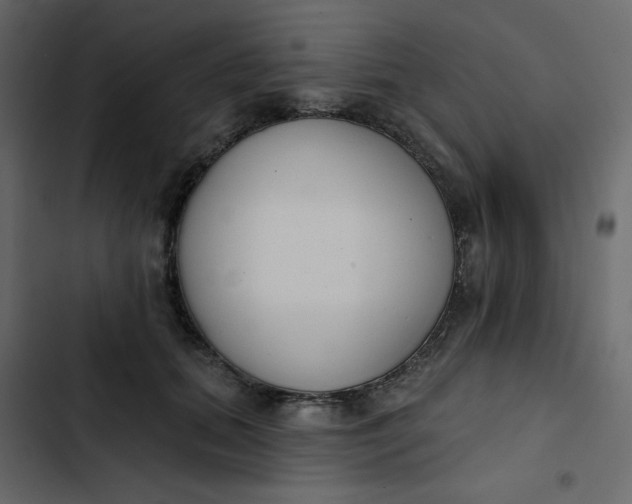 X0000102850655200809021402