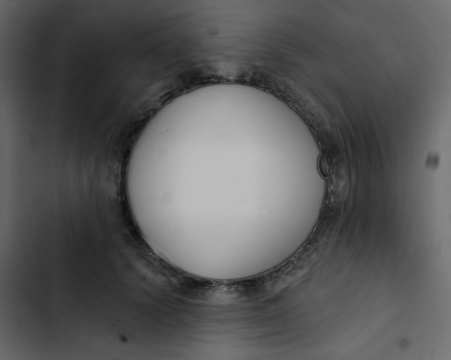 X0000102850656200809021402