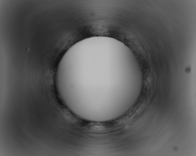 X0000102850658200809021402