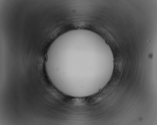 X0000102850660200809021402