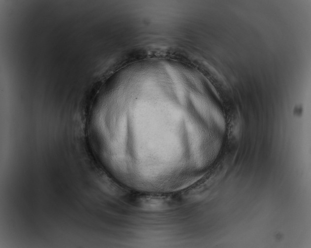 X0000102850661200809021402