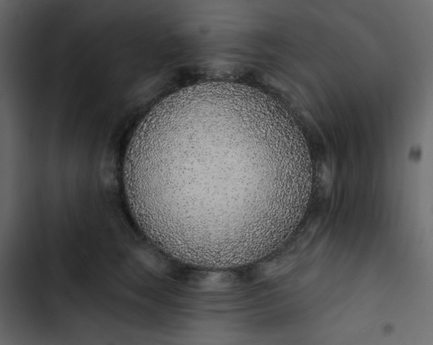 X0000102850663200809021402