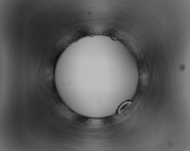 X0000102850665200809021402