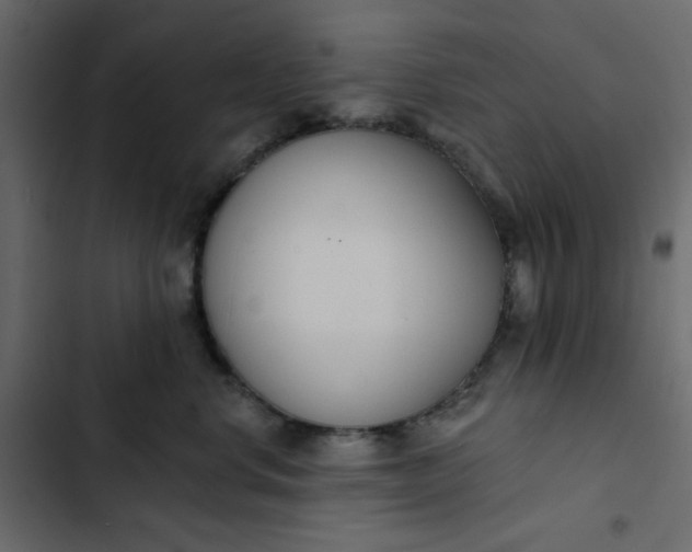 X0000102850668200809021402