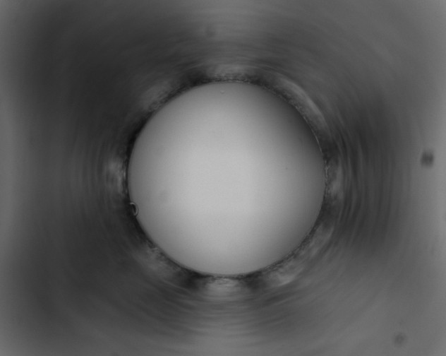 X0000102850669200809021402