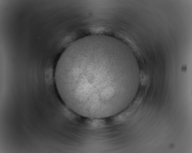 X0000102850670200809021402