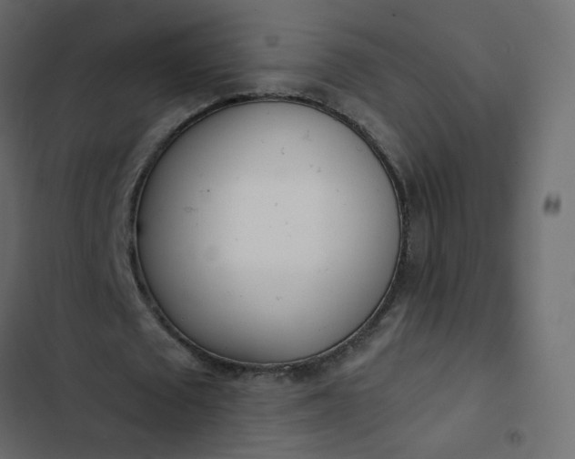 X0000102850673200809021401