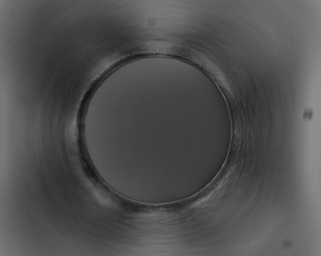 X0000102850674200809021401