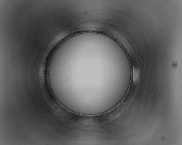 X0000102850675200809021401