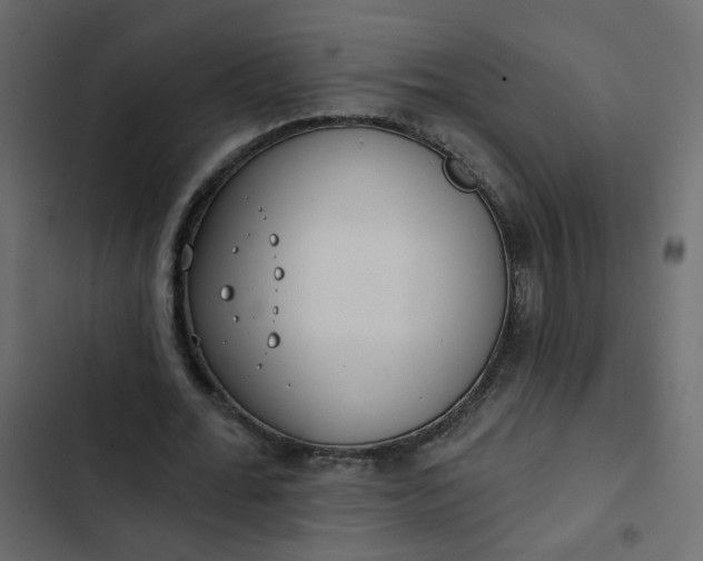 X0000102850676200809021401