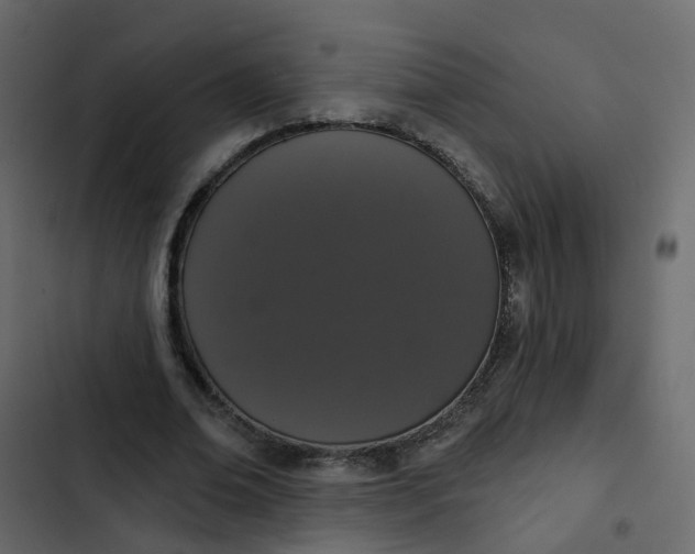 X0000102850678200809021401