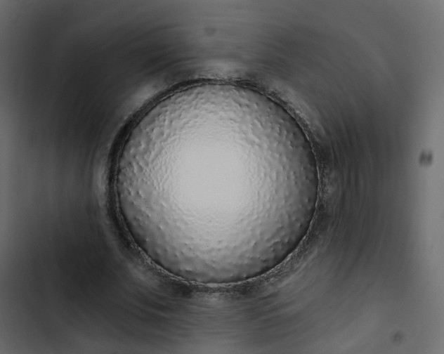 X0000102850679200809021401