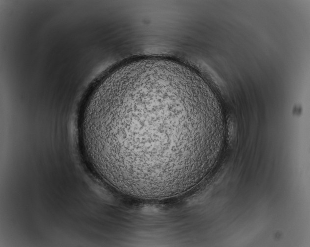 X0000102850684200809021401